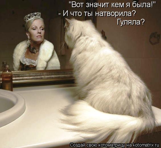 "Вот значит кем я была!" - И что ты натворила? Гуляла?... Котоматрица: "Вот значит кем я была!" - И что ты натворила? Гуляла?