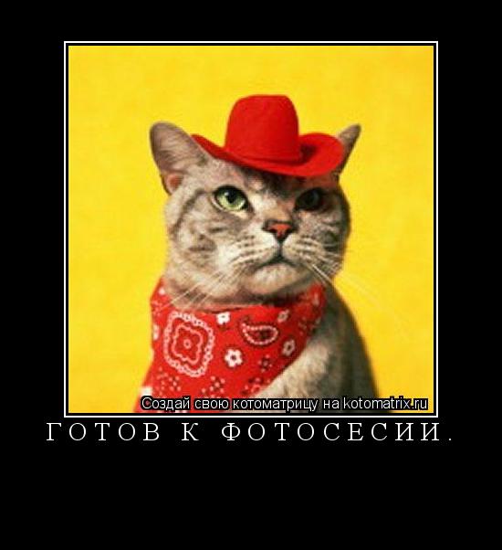 Готов к фотосесии. ... Котоматрица: Готов к фотосесии.