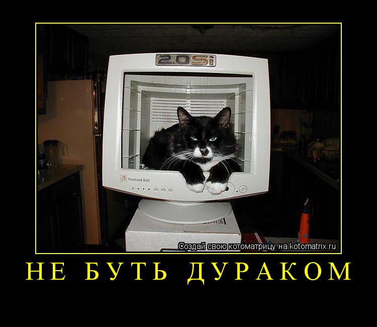 Котоматрица: не буть дураком 
