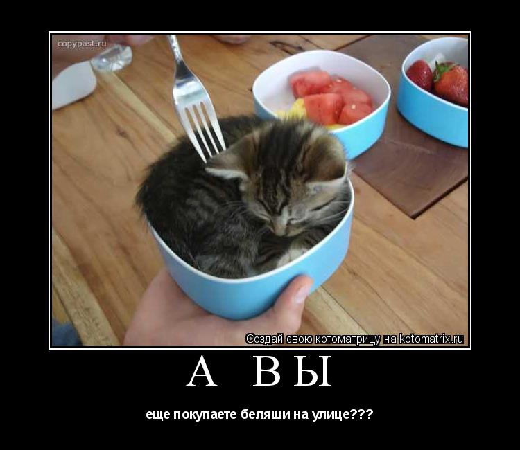 А ВЫ еще покупаете беляши на улице???... Котоматрица: А ВЫ еще покупаете беляши на улице???