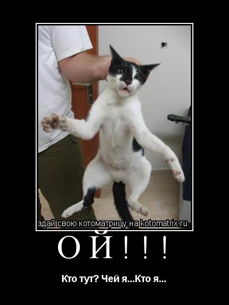 Ой!!! Кто тут? Чей я...Кто я...... Котоматрица: Ой!!! Кто тут? Чей я...Кто я...