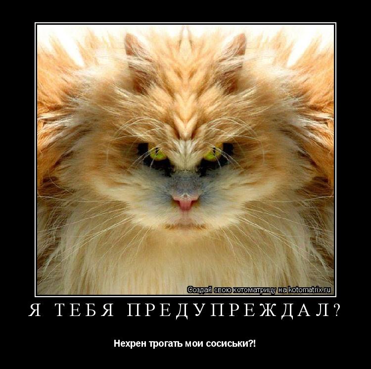 Котоматрица: Я тебя предупреждал? Нехрен трогать мои сосиськи?!