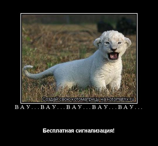 Вау...Вау...Вау...Вау...Вау... Бесплатная сигнализация!... Котоматрица: Вау...Вау...Вау...Вау...Вау... Бесплатная сигнализация!