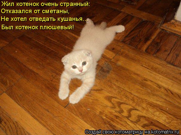 Котоматрица: Жил котенок очень странный: Отказался от сметаны, Не хотел отведать кушанья... Был котенок плюшевый!