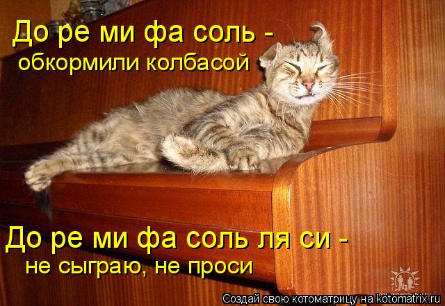 Котоматрица: До ре ми фа соль - До ре ми фа соль ля си - обкормили колбасой не сыграю, не проси