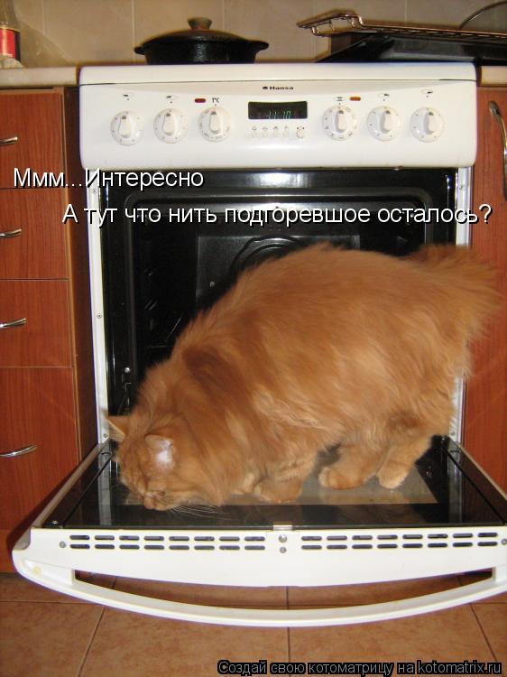 Ммм...Интересно А тут что нить подгоревшое осталось?... Котоматрица: Ммм...Интересно А тут что нить подгоревшое осталось?