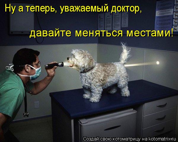 Ну а теперь, уважаемый доктор, давайте меняться местами!... Котоматрица: Ну а теперь, уважаемый доктор, давайте меняться местами!