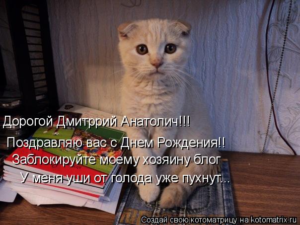 Дорогой Дмитррий Анатолич!!! Поздравляю вас с Днем Рождения!! Заблокируйте моему хозяину блог У меня ... Котоматрица: Дорогой Дмитррий Анатолич!!! Поздравляю вас с Днем Рождения!! Заблокируйте моему хозяину блог У меня уши от голода уже пухнут...