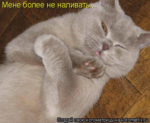 Котоматрица: Мене более не наливать...