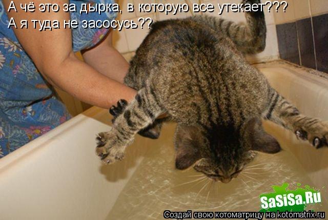 Котоматрица: А чё это за дырка, в которую все утекает??? А я туда не засосусь??