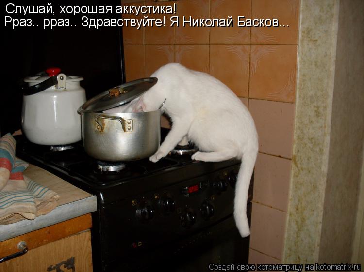 Котоматрица: Слушай, хорошая аккустика! Рраз.. рраз.. Здравствуйте! Я Николай Басков...