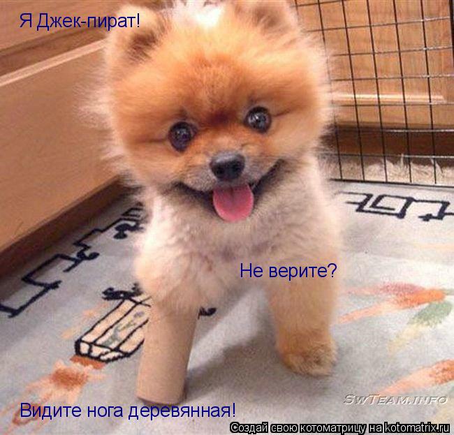 Я Джек-пират! Не верите? Видите нога деревянная!... Котоматрица: Я Джек-пират! Не верите? Видите нога деревянная!