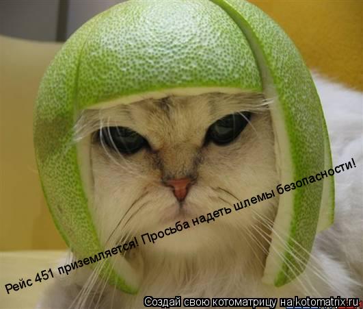 Рейс 451 приземляется! Просьба надеть шлемы безопасности!... Котоматрица: Рейс 451 приземляется! Просьба надеть шлемы безопасности!