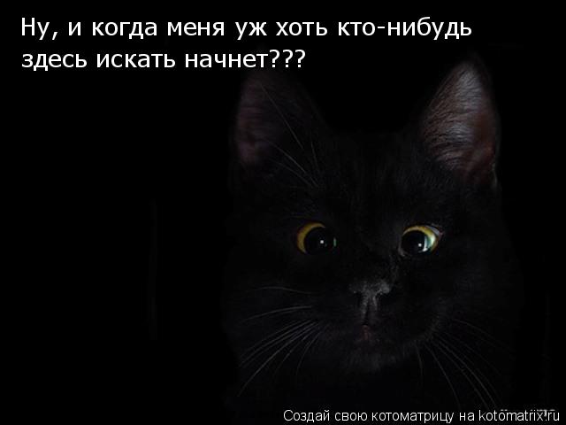 Котоматрица: Ну, и когда меня уж хоть кто-нибудь здесь искать начнет???