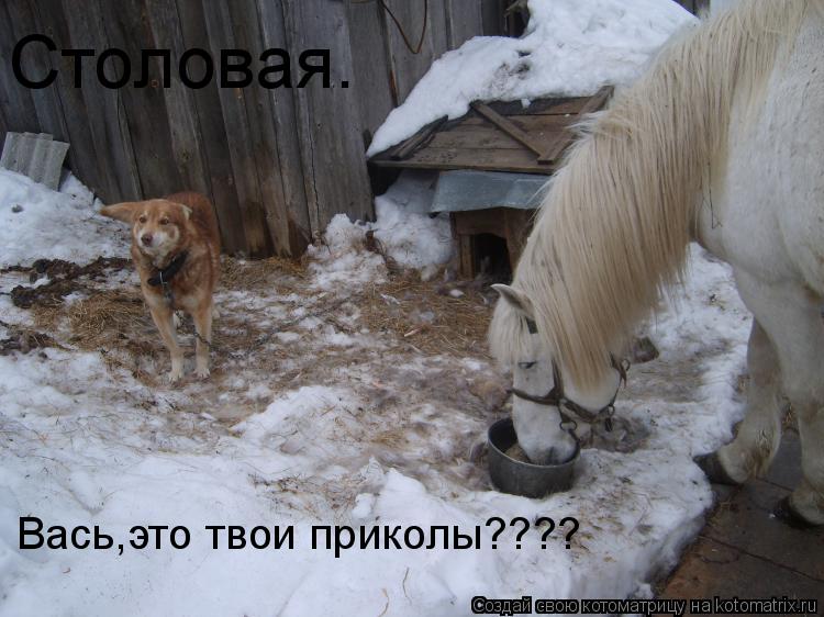 Столовая. Столовая. Вась,это твои приколы????... Котоматрица: Столовая. Столовая. Вась,это твои приколы????