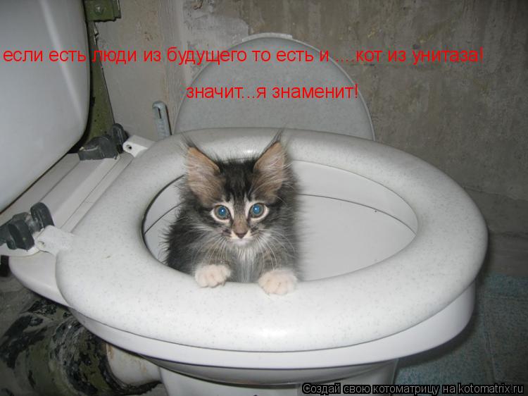 если есть люди из будущего то есть и ....кот из унитаза! значит...я знаменит!... Котоматрица: если есть люди из будущего то есть и ....кот из унитаза! значит...я знаменит!