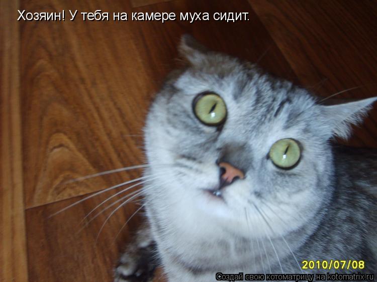 Хозяин! У тебя на камере муха сидит.... Котоматрица: Хозяин! У тебя на камере муха сидит.
