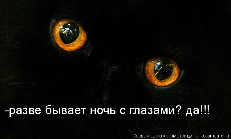 -разве бывает ночь с глазами? да!!!... Котоматрица: -разве бывает ночь с глазами? да!!!