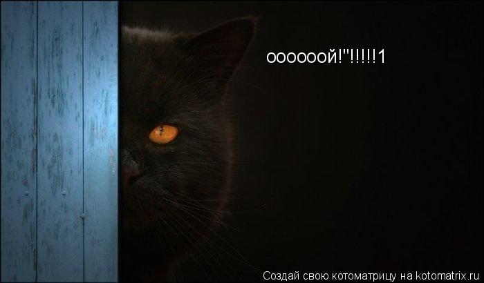 оооооой!"!!!!!1... Котоматрица: оооооой!"!!!!!1