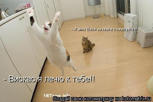 - Вискас я лечю к тебе!! - И мне Вася захвати пожалуйсто!... Котоматрица: - Вискас я лечю к тебе!! - И мне Вася захвати пожалуйсто!