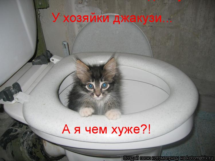 У хозяйки джакузи... У хозяйки джакузи... А я чем хуже?!... Котоматрица: У хозяйки джакузи... У хозяйки джакузи... А я чем хуже?!