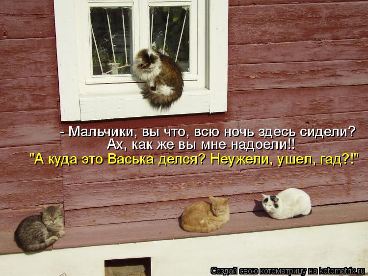 Котоматрица: - Мальчики, вы что, всю ночь здесь сидели? Ах, как же вы мне надоели!! "А куда это Васька делся? Неужели, ушел, гад?!"