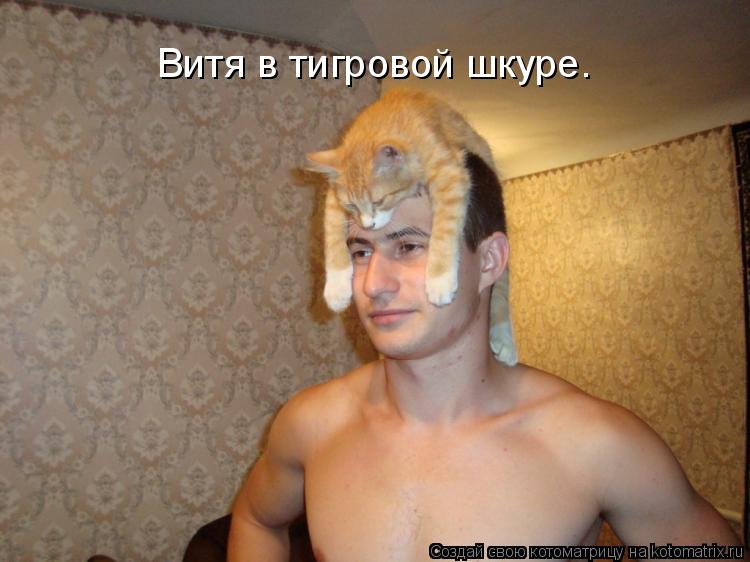 Витя в тигровой шкуре.... Котоматрица: Витя в тигровой шкуре.