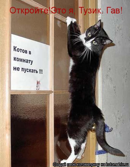 Котоматрица: Откройте!Это я, Тузик. Гав!