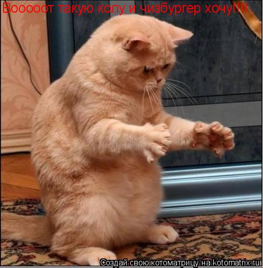 Котоматрица: Вооооот такую колу и чизбургер хочу!!!!