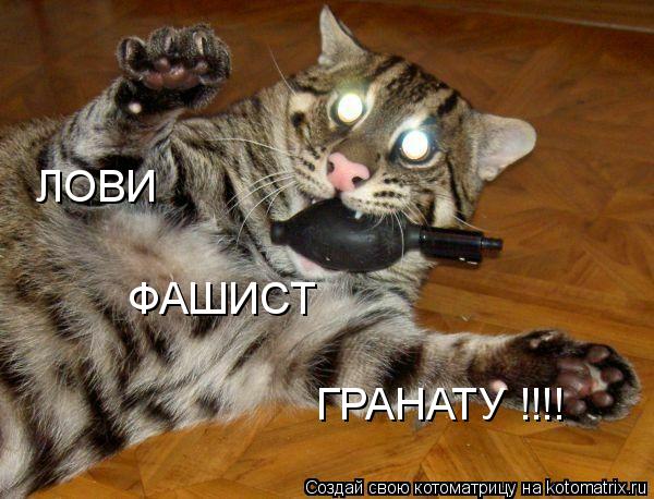 Котоматрица: ЛОВИ ФАШИСТ ГРАНАТУ !!!!