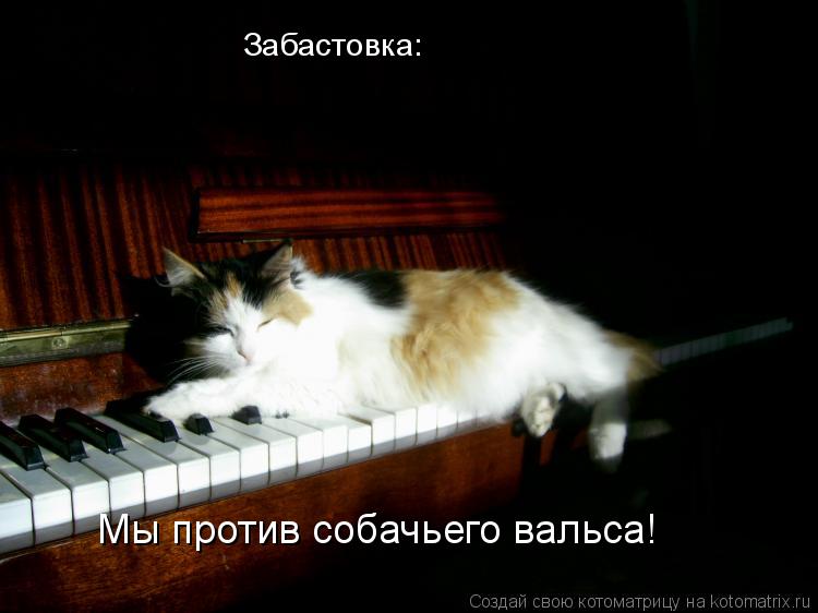Котоматрица: Забастовка: Мы против собачьего вальса!
