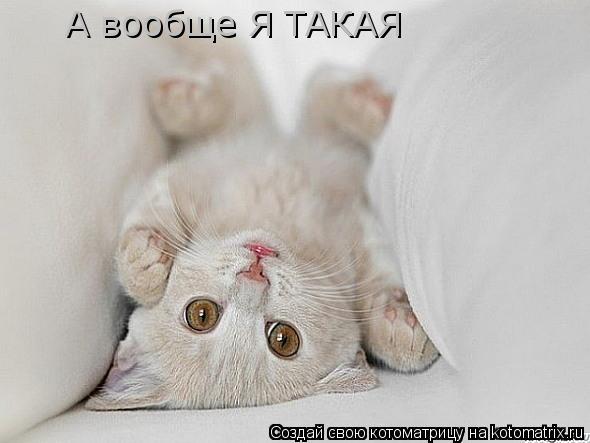 Котоматрица: А вообще Я ТАКАЯ