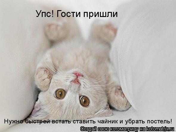 Котоматрица: Упс! Гости пришли Нужно быстрей встать ставить чайник и убрать постель!