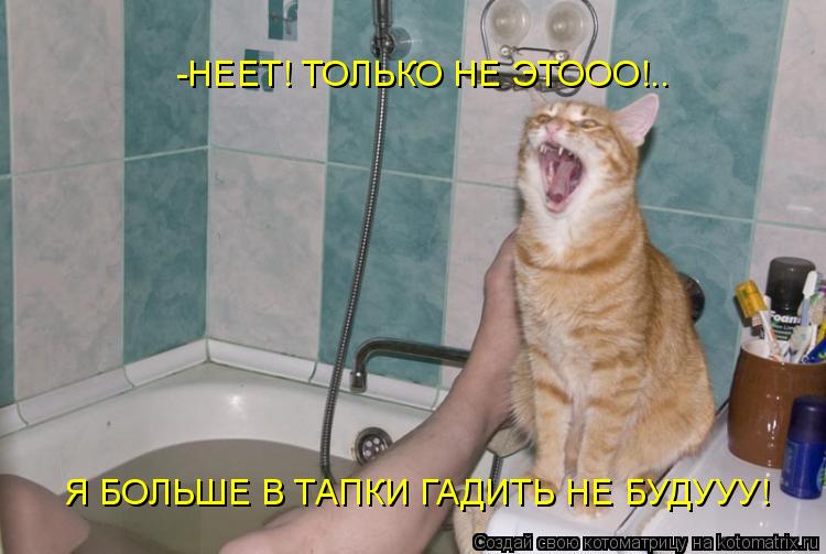 Котоматрица: -НЕЕТ! ТОЛЬКО НЕ ЭТООО!.. Я БОЛЬШЕ В ТАПКИ ГАДИТЬ НЕ БУДУУУ!