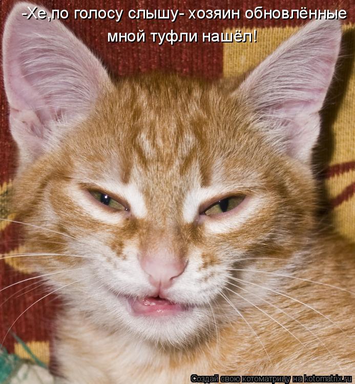 -Хе,по голосу слышу- хозяин обновлённые мной туфли нашёл!... Котоматрица: -Хе,по голосу слышу- хозяин обновлённые мной туфли нашёл!