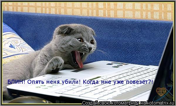 БЛИН! Опять меня убили! Когда мне уже повезёт?!... Котоматрица: БЛИН! Опять меня убили! Когда мне уже повезёт?!