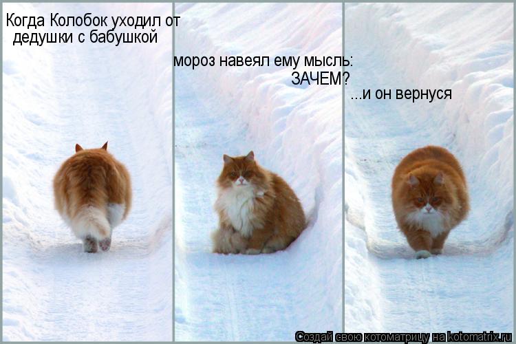 Когда Колобок уходил от дедушки с бабушкой мороз навеял ему мысль: ЗАЧЕМ? ...и он вернуся... Котоматрица: Когда Колобок уходил от дедушки с бабушкой мороз навеял ему мысль: ЗАЧЕМ? ...и он вернуся