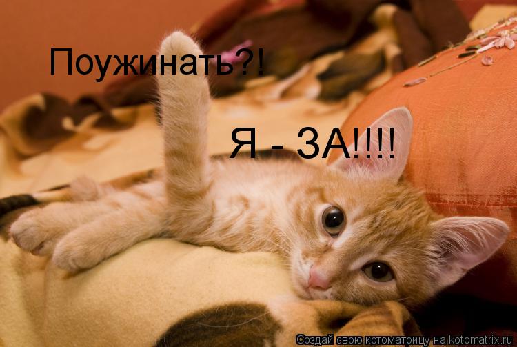 Поужинать?! Я - ЗА!!!!... Котоматрица: Поужинать?! Я - ЗА!!!!