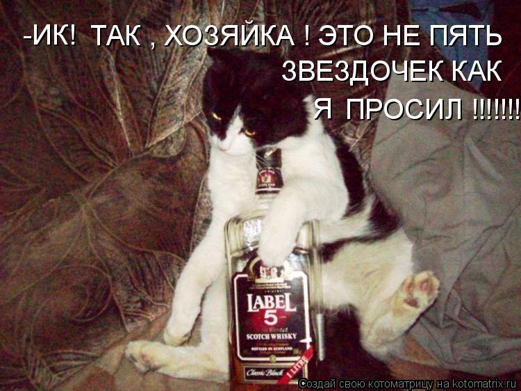 Котоматрица: -ИК!  ТАК , ХОЗЯЙКА ! ЭТО НЕ ПЯТЬ ЗВЕЗДОЧЕК КАК ПРОСИЛ !!!!!!!!!!!!!!!!!!!!!!!!!!!!!!!!!!!!!!!!!!!!!!!!!!!!!!!!!!!!!!!!11 Я