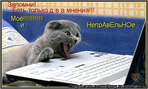 Котоматрица: Запомни! Есть только д в а мнения!!! Моё!!!!!!!!!! и НепрАвЕльНОе