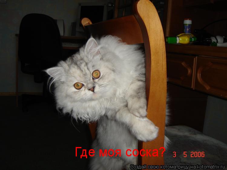 Котоматрица: Где моя соска?