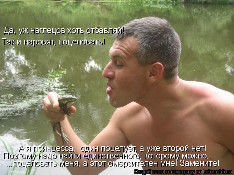 Котоматрица: Да, уж нвглецов хоть отбавляй! Так и наровят, поцеловать! А я принцесса,  один поцелует, а уже второй нет! Поэтому надо найти единственного, ко