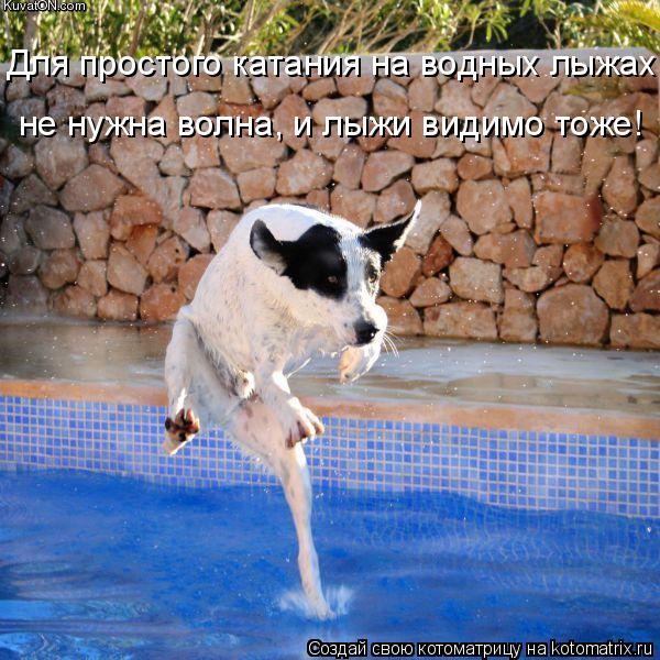 Котоматрица: Для простого катания на водных лыжах  не нужна волна, и лыжи видимо тоже!