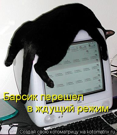 Котоматрица: Барсик перешел  в ждущий режим
