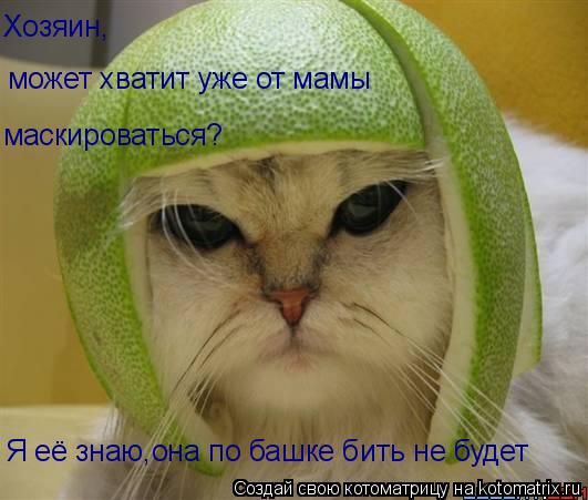 Хозяин, ну может хватит уже от мамы маскироваться?! Хозяин, может хватит уже от мамы маскироваться? ... Котоматрица: Хозяин, ну может хватит уже от мамы маскироваться?! Хозяин, может хватит уже от мамы маскироваться? Я её знаю,она по башке бить не будет