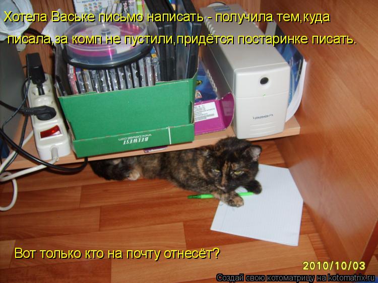 Хотела Ваське письмо написать - получила тем,куда писала,за комп не пустили,придётся постаринке писат... Котоматрица: Хотела Ваське письмо написать - получила тем,куда писала,за комп не пустили,придётся постаринке писать. Вот только кто на почту отнесёт?