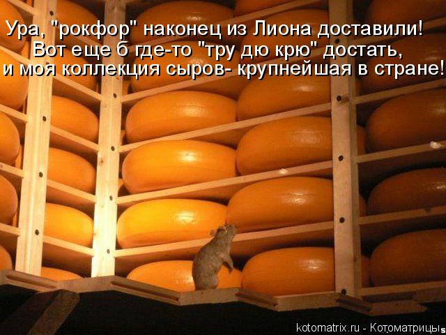 Вот еще б где-то "тру дю крю" достать, и моя коллекция сыров- крупнейшая в стране! Ура, "рокфор" нак... Котоматрица: Вот еще б где-то "тру дю крю" достать, и моя коллекция сыров- крупнейшая в стране! Ура, "рокфор" наконец из Лиона доставили!