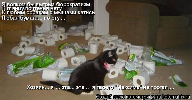 Я волком бы выгрыз бюрократизм К глянцу почтения нету. К любым собакам с мышами катись Любая бумага..... Котоматрица: Я волком бы выгрыз бюрократизм К глянцу почтения нету. К любым собакам с мышами катись Любая бумага... но эту.... Хозяин... я ... эта... эта ... я тво
