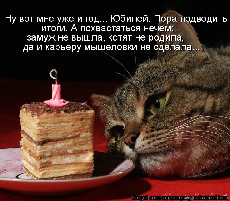 Ну вот мне уже и год... Юбилей. Пора подводить итоги. А похвастаться нечем: замуж не вышла, котят н... Котоматрица: Ну вот мне уже и год... Юбилей. Пора подводить итоги. А похвастаться нечем: замуж не вышла, котят не родила, да и карьеру мышеловки не сделала
