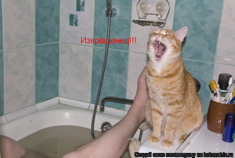 Котоматрица: Извращенец!!!